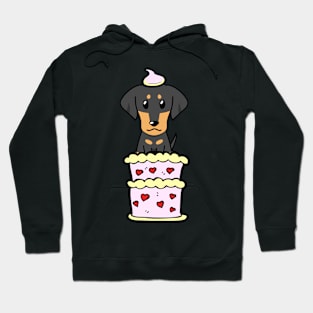 Dachshund dog Jumping out of a cake Hoodie